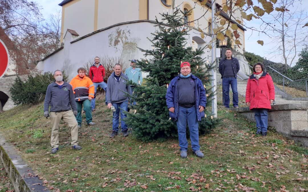 Berufsbildungsbereich stellt Christbaum auf