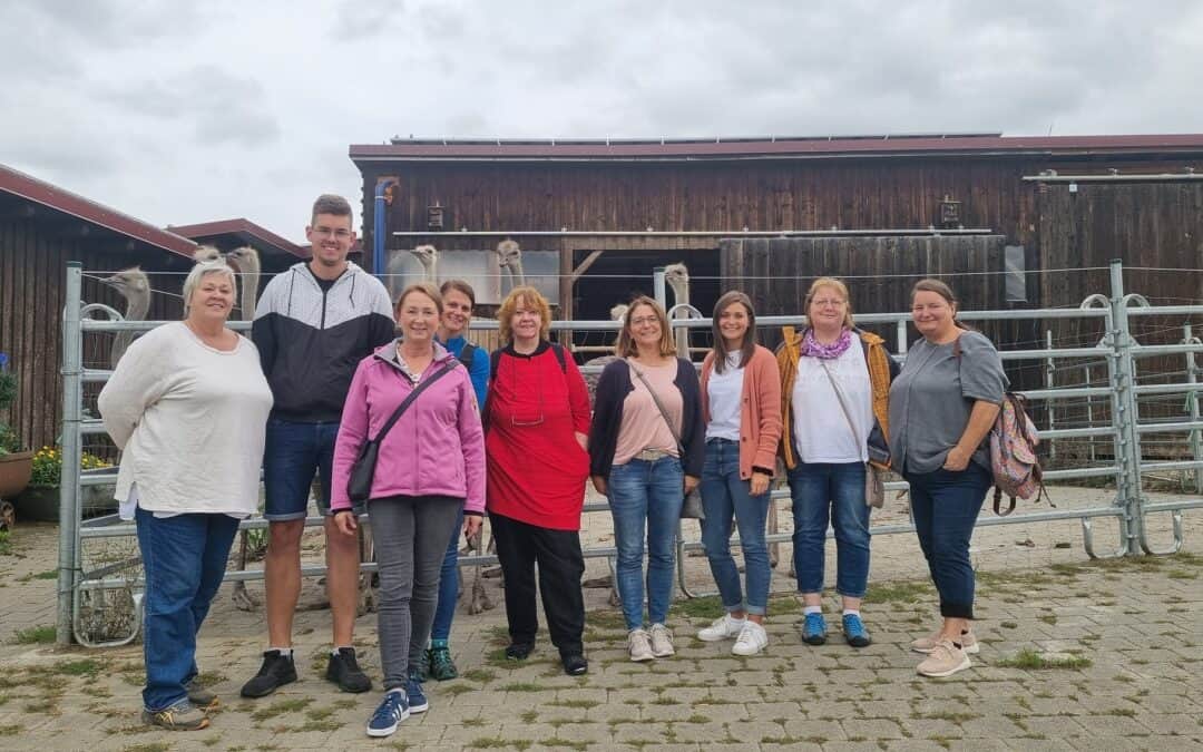 Der Hahn und seine Hennen